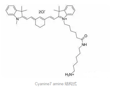 Sulfo CY7-NH2 磺基-CY7 氨基