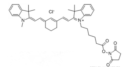 Sulfo CY7-MAL 磺基-CY7 马来酰亚胺