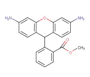 cas：109244-58-8，二氢若丹明123,DHR 123