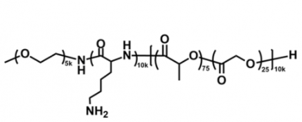 甲氧基聚乙二醇-聚赖氨酸-聚（D，L-丙交酯-co-乙交酯）共聚物 mPEG-PLL-PLGA