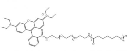 聚己内酯聚乙二醇罗丹明 PCL-PEG-RB
