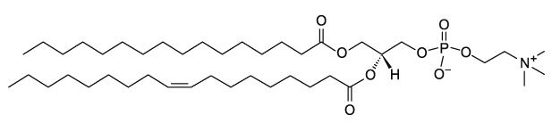 CAS：26853-31-6 1-棕榈?；?2-油酰基磷脂酰胆碱 POPC (16:0-18:1 PC)    
