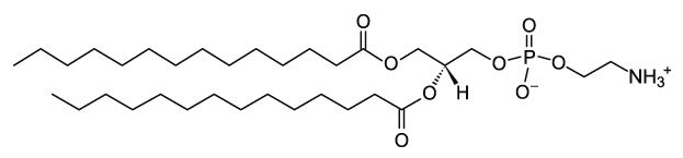 CAS：998-07-2 1,2-二肉豆蔻?；字Ｒ掖及?DMPE (14:0 PE)     