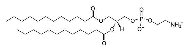 CAS：59752-57-7 1,2-二月桂酰磷脂酰乙醇胺 DLPE (12:0 PE)      
