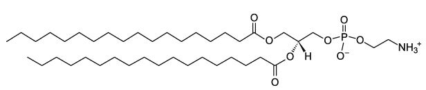 CAS：1069-79-0 1,2-二硬脂酰基磷脂酰乙醇胺 DSPE (18:0 PE)    