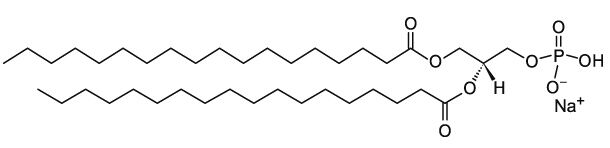 CAS：108321-18-2 1,2-二硬脂?；字?DSPA (18:0 PA)  
