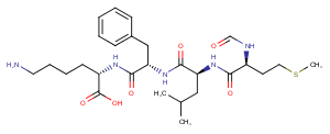 N-Formyl-Met-Leu-Phe-Lys N-Formyl-Met-Leu-Phe-Lys