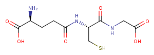 L-Glutathione reduced L-Glutathione reduced