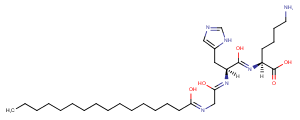 PalMitoyl Tripeptide-1 PalMitoyl Tripeptide-1