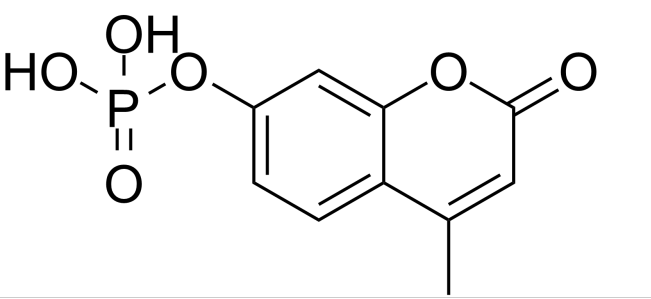 4-Methylumbelliferyl phosphate 4-Methylumbelliferyl phosphate