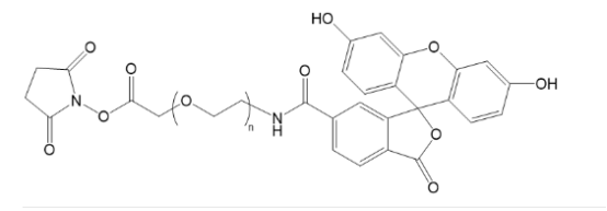FITC-PEG-NHS 荧光素聚乙二醇活性酯