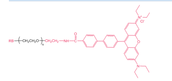 RB-PEG-RB 罗丹明聚乙二醇罗丹明