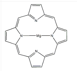 cas:13007-95-9 镁卟啉