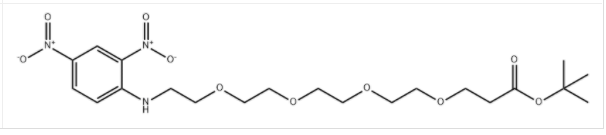 CAS:1817735-31-1 DNP-PEG4-t-butyl ester 