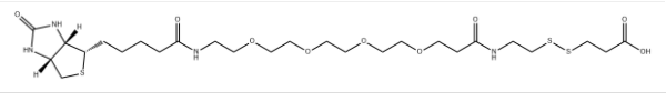 CAS:1380166-80-2 Biotin-PEG4-S-S-acid 