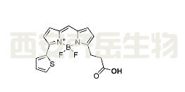 cas:  150173-72-1，BDP 558/568 carboxylic acid