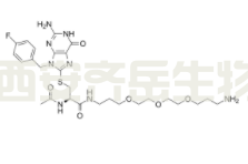 FBnG-(Cys-acetamide)-CH2-PEG3-CH2-CH2-CH2-NH2，CAS：2241669-84-9