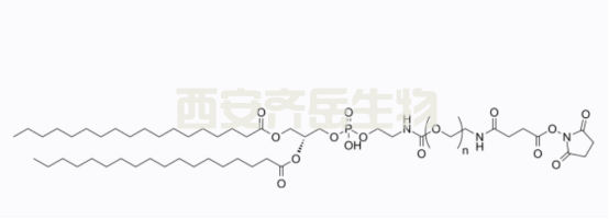 PEG磷脂大家族成员之二：DPSE-PEG-NHS