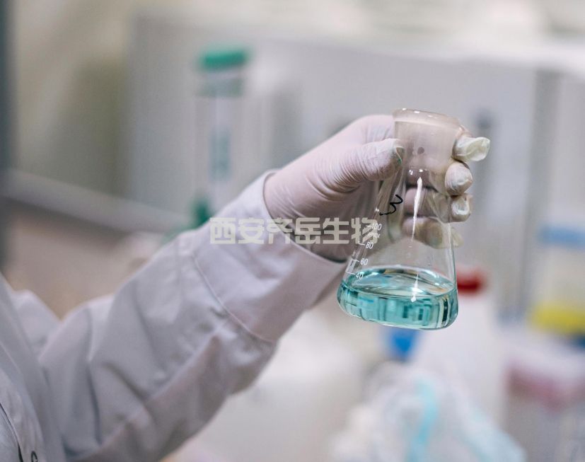 生物素化小分子定制技术