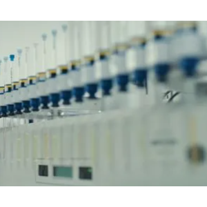 PEG化金纳米棒 PEG化金纳米棒