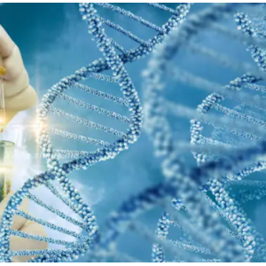 iRGD-PEG-Cy5 环肽iRGD聚乙二醇花菁Cy5(图1) iRGD-PEG-Cy5 环肽iRGD聚乙二醇花菁Cy5(图1)